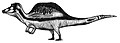 dinosaur